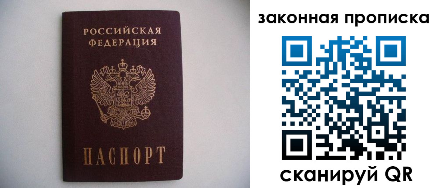 прописка законно в Мурманске